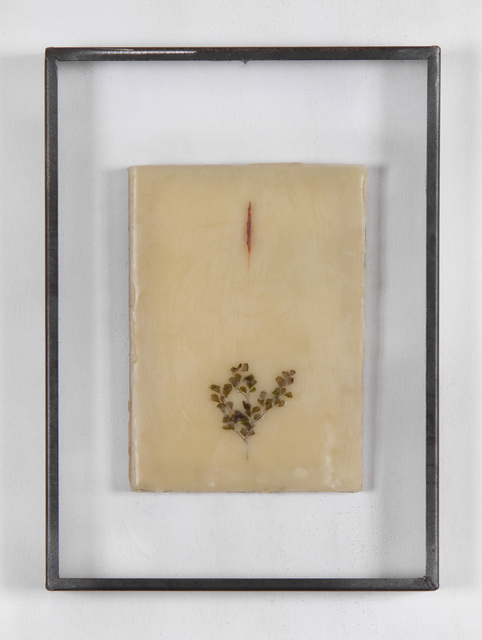 Gregorio Botta, ‘Emily's Garden 2’, 2018, Mixed Media, Pigment and leaves on wax in artist frame, Montoro12 Contemporary Art
