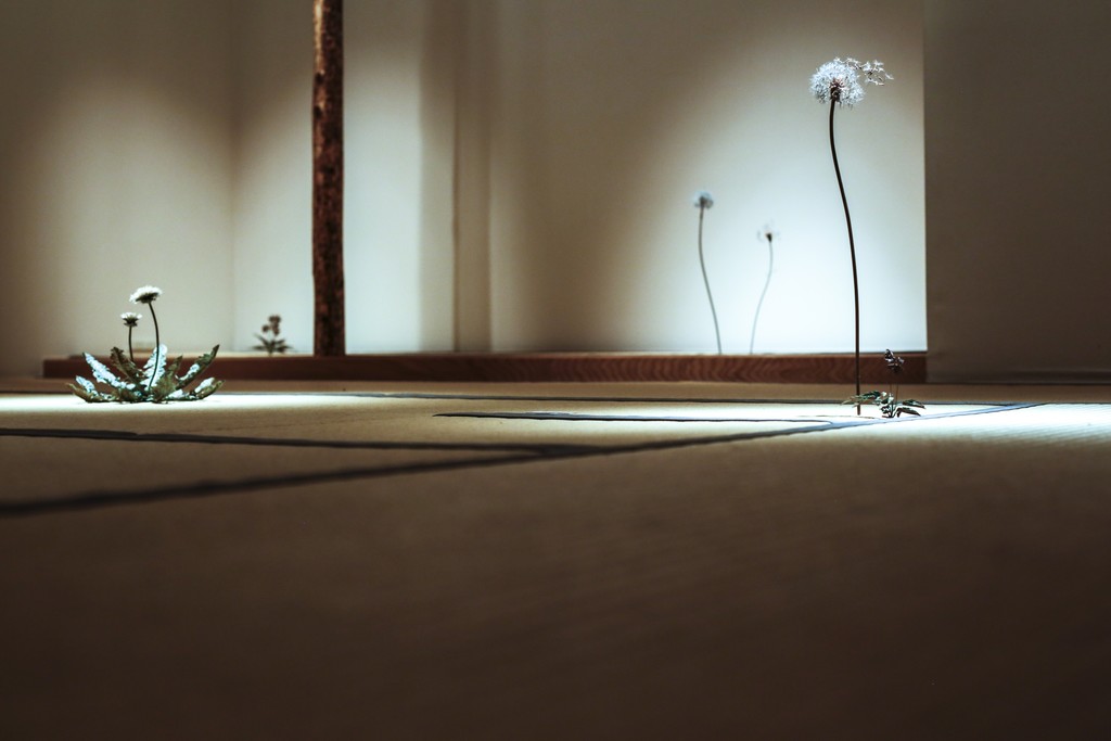 Photo by Hitomi Sato Photo by Hitomi Sato