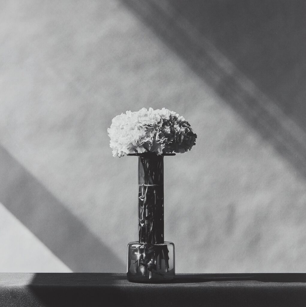 Robert Mapplethorpe - Carnations