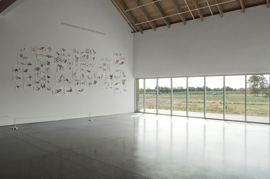 Installation view of "Alexis Rockman: East End Field Drawings" on view at the Parrish Art Museum, Water Mill, New York through January 18, 2016. Photo: Gary Mamay. Installation view of "Alexis Rockman: East End Field Drawings" on view at the Parrish Art Museum, Water Mill, New York through January 18, 2016. Photo: Gary Mamay.