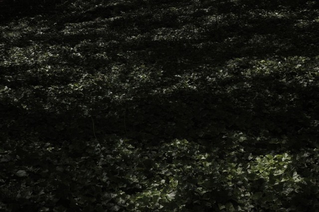 Gleb Kosorukov, ‘BEL AIR’, 2009-2010, Rizzordi Art Foundation