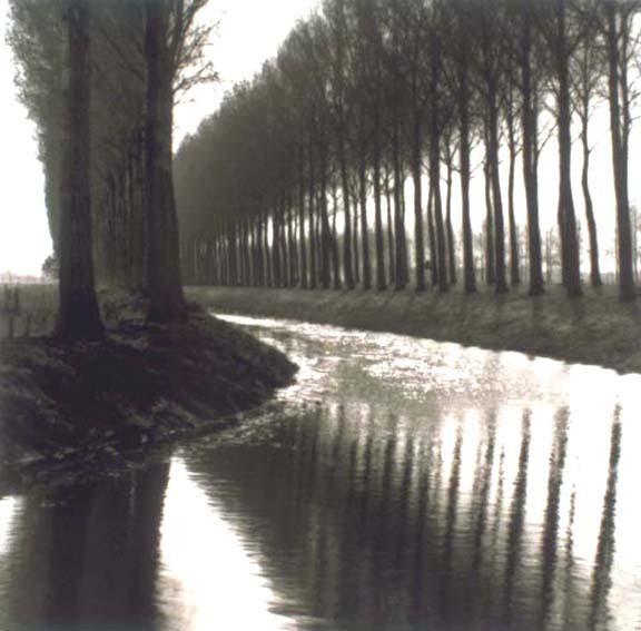 Lynn Geesaman, ‘Damme, Belgium (4-92-46-11)’, 1992, Photography, Archival pigment print, Yancey Richardson Gallery
