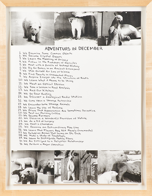 Mark Dion, ‘Adventures in December’, 1999, Rago/Wright