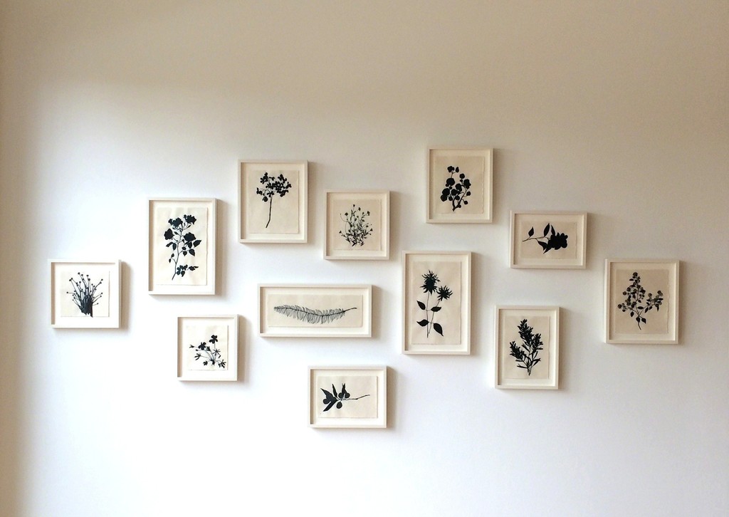 Installation image of Dharma Strasser MacColl: Adaptations Installation image of Dharma Strasser MacColl: Adaptations