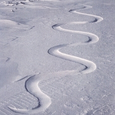 Andy Goldsworthy