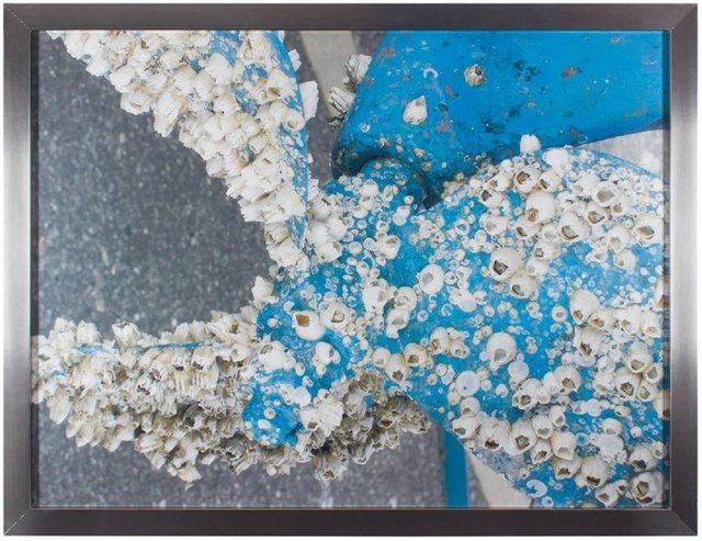 Unknown, ‘Boat Propeller Barnacles, Large Scale Photograph’, Late 20th Century, Lions Gallery
