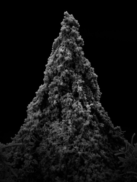image-zoom