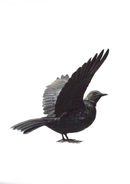 Shinya Hongo, ‘Hiyodori’, 2016, Micheko Galerie