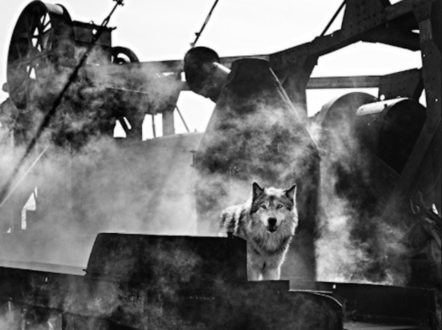 David Yarrow, ‘The Engineer’, 2015, Isabella Garrucho Fine Art