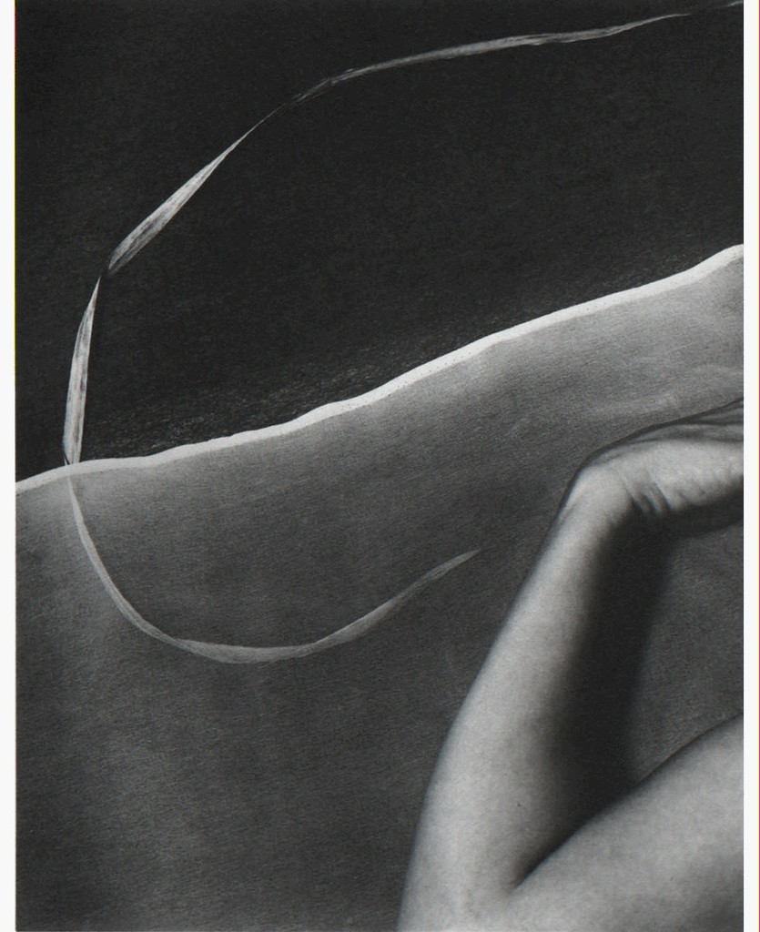 Hand-initialed, bound platinum print from 21st Editions' "Sally Mann" Hand-initialed, bound platinum print from 21st Editions' "Sally Mann"