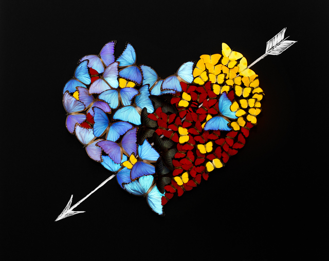 SN, ‘Butterflies Heart’, 2016, Eden Fine Art
