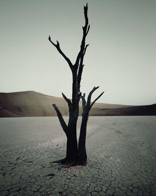Jimmy Nelson, ‘IV 473 - Dead Vlei, Sossusvlei Namibia’, 2011, Photography, AbrahamArt