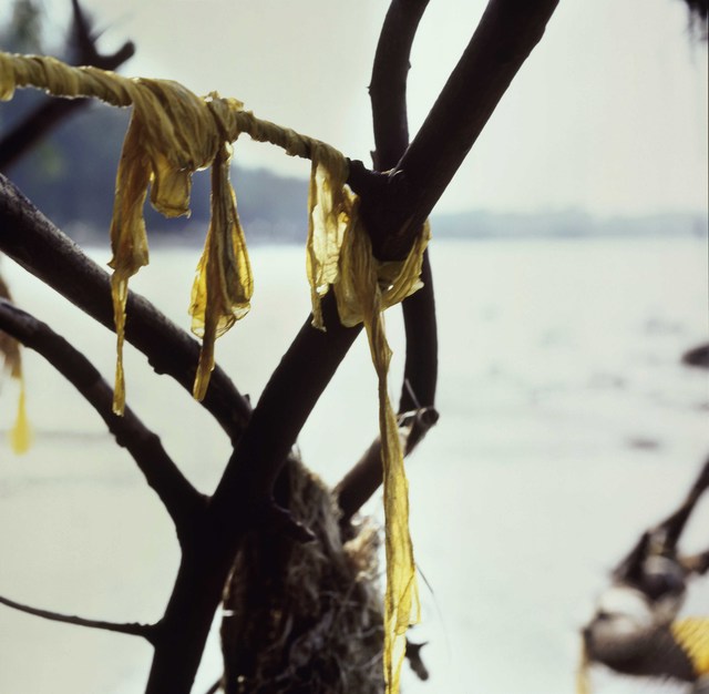 Simryn Gill, ‘Channel’, 2014, Jhaveri Contemporary