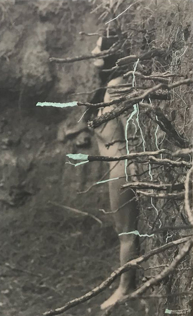 Juana Gomez, ‘Symbiosis.10’, 2018, Textile Arts, Hand embroidery, drawing and photography on canvas., Isabel Croxatto Galería