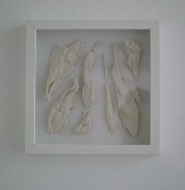 , '干燥植物 Herbarium ,' 2017, Amy Li Gallery