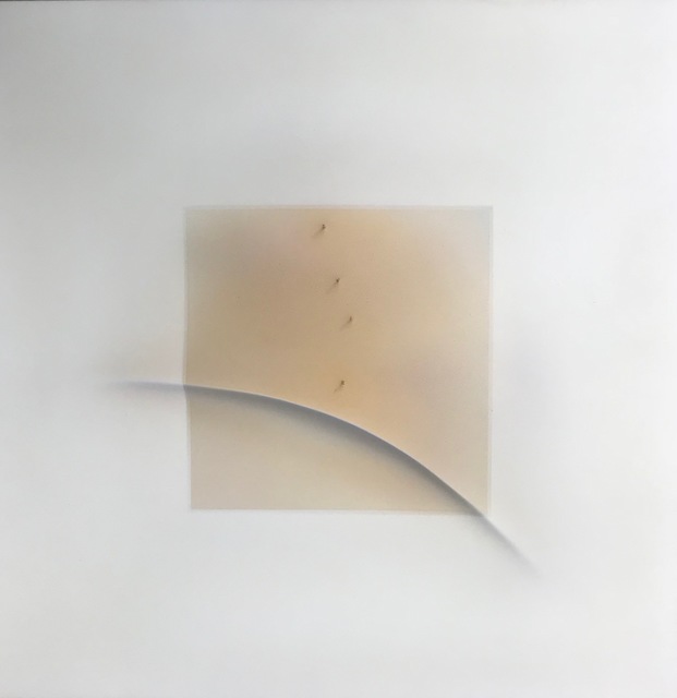 Sam Richardson, ‘Soft Dawn Dune: Four Poles ’, 1975, inde/jacobs