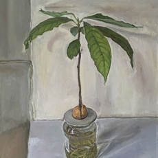 James Lloyd