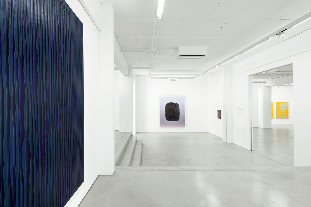 installation view of STRUKTUR by Peter Krauskopf, G2 Kunsthalle Leipzig,
13 October 2017 - 21 January 2018, copyright the artist & G2 Kunsthalle Leipzig, photo: Uwe Walter installation view of STRUKTUR by Peter Krauskopf, G2 Kunsthalle Leipzig,
13 October 2017 - 21 January 2018, copyright the artist & G2 Kunsthalle Leipzig, photo: Uwe Walter