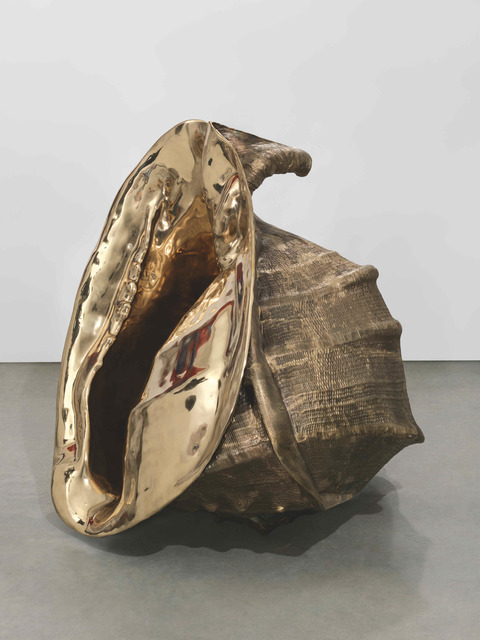 Marc Quinn, ‘The Origin of the World (Cassis madagascariensis) Longitudes’, 2011, Custot Gallery Dubai