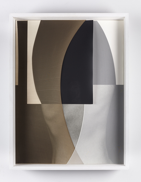 Sheree Hovsepian, ‘Crest’, 2018, Mixed Media, Silver gelatin photographs and photograms, nylon, artist frame, Friends Seminary Benefit Auction