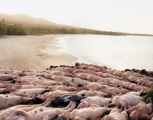 Spencer Tunick, ‘Maui 1 (Little Beach)’, 2009, Equal Means Equal Benefit Auction