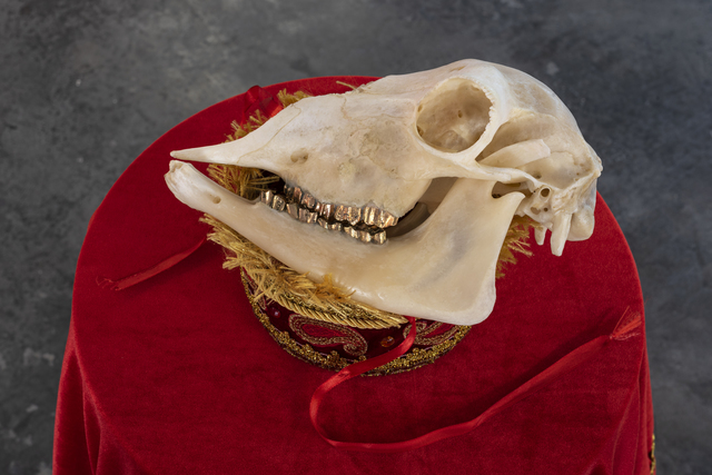 My gold-toothed beauty