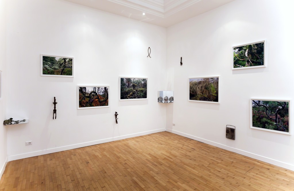 Installation view: Elaine Byrne, "La Diritta Via" Installation view: Elaine Byrne, "La Diritta Via"