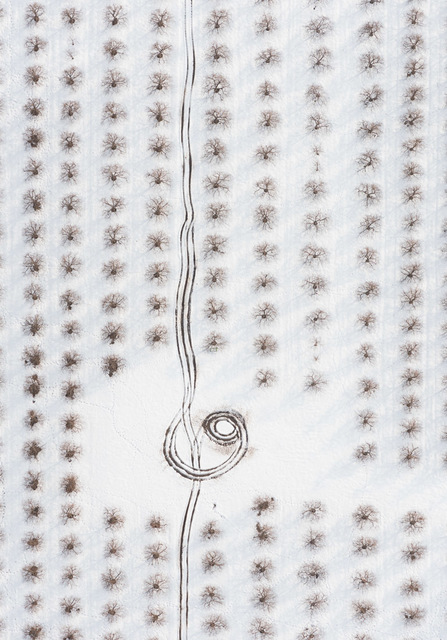 John Griebsch, ‘Orchard Roundabout ’, 2014, Carrie Haddad Gallery