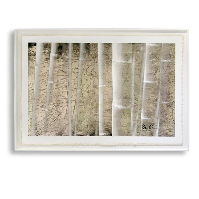 Bill Claps, ‘Bamboo Stand’, Exhibit by Aberson