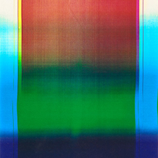 Diane Holland