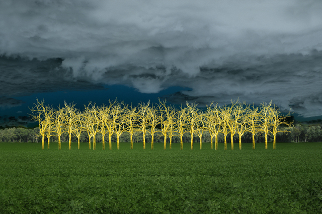 Ellen Jantzen, ‘In The Field of Gold’, 2012, Bruno David Gallery