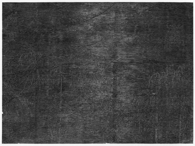 Christiane Baumgartner, ‘Wald bei Colditz III’, 2014, Print, Woodcut on Kozo paper, Cristea Roberts Gallery