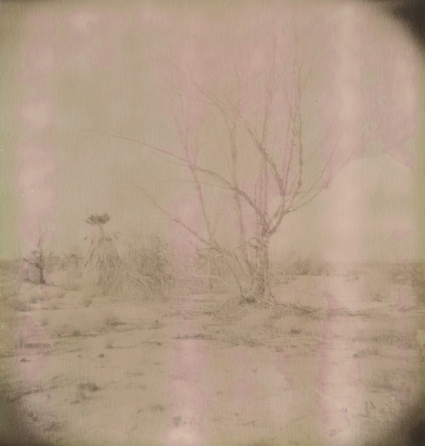 Stefanie Schneider, ‘Untitled’, 2009, Photography, Analog C-Print, hand-printed by the artist on Fuji Crystal Archive Paper, based on a Polaroid, not mounted, Instantdreams