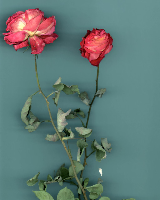 Dena Yago, ‘tomorrow never comes’, 2018, Photography, Digital c-print, Primary Information Benefit Auction