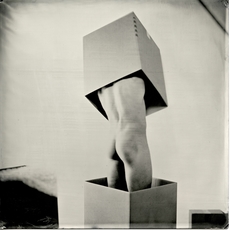 Matthew Finley