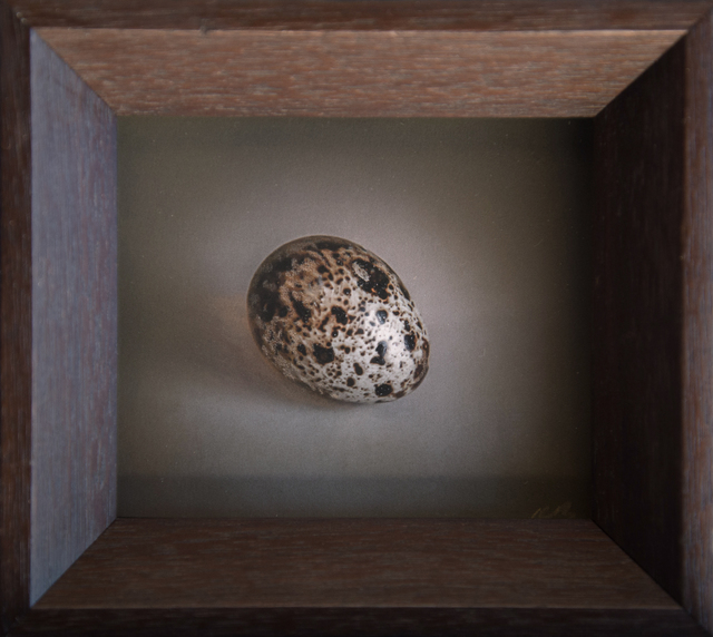 Kate Breakey, ‘Quail Egg 38’, 2019, Photography, Hand-colored archival pigment print, Etherton Gallery