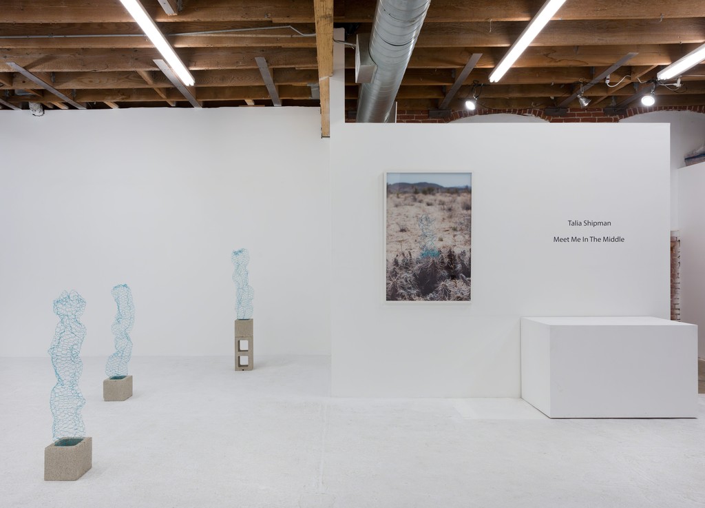 Talia Shipman 'Meet Me in the Middle', installation shot. Photo: Ruben Diaz Talia Shipman 'Meet Me in the Middle', installation shot. Photo: Ruben Diaz