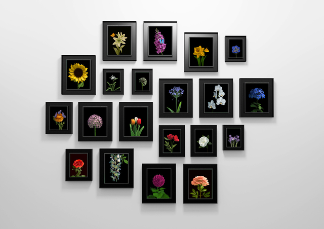 Dominic Harris, ‘Bloomed’, 2016, Priveekollektie Contemporary Art | Design