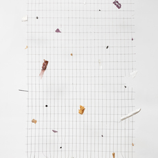Adolfo Bimer