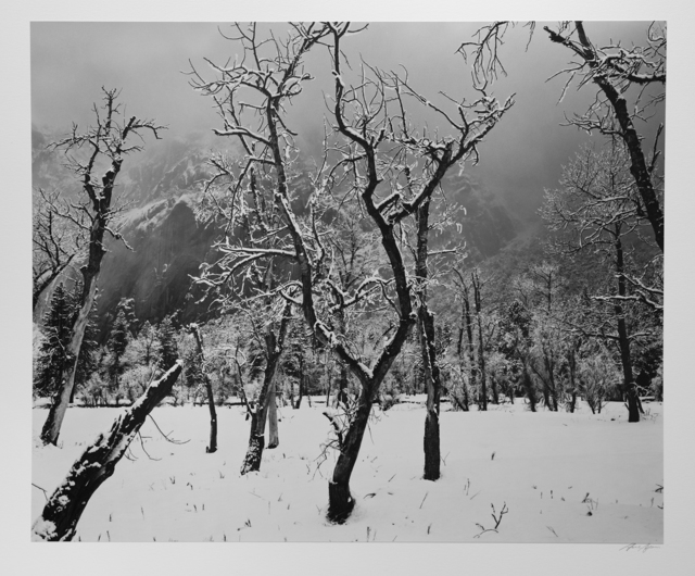 Ansel Adams, ‘Trees, Meadow, Snow, Yosemite National Park’, ca. 1965, Photography West Gallery