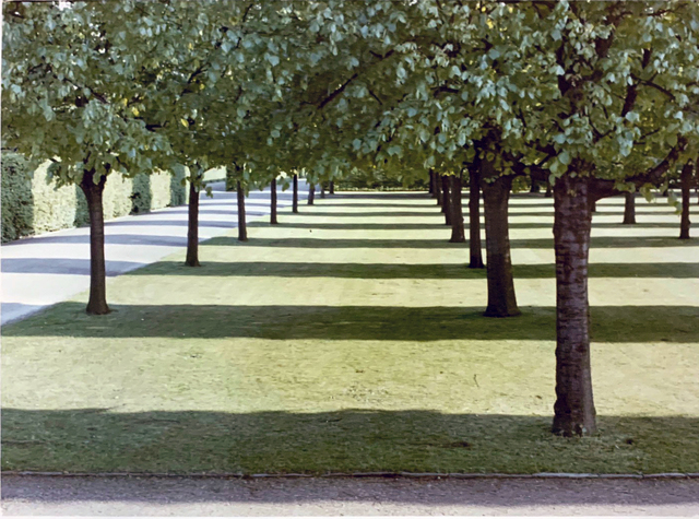 David Hockney, ‘Herrenhausen, Hannover, Germany’, 1970, Huxley-Parlour