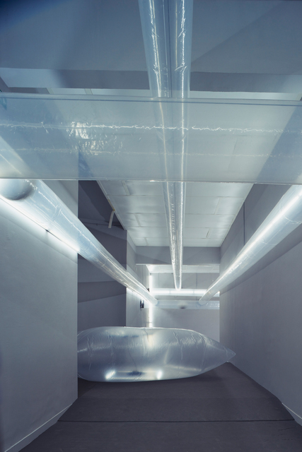 Szilárd Cseke, ‘Sustainable Identities (Installation view)’, 2015, 56th Venice Biennale