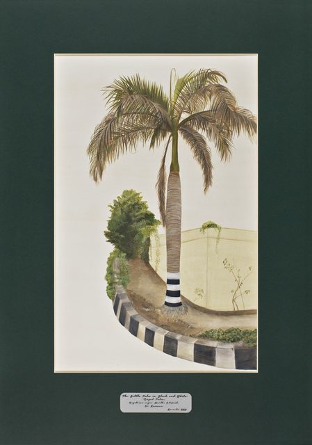 David Chalmers Alesworth, ‘Trees of Pakistan - The Bottle Palm in Black and White ’, 2013-2014, GALLERYSKE