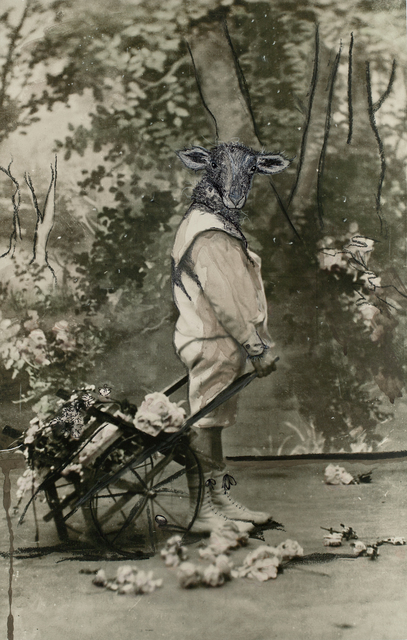 Lina L. Baker, ‘Don't Feed the Animals no 12 original’, 2015, Galleri Duerr