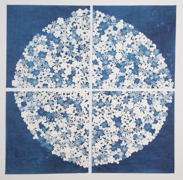 Danielle Rante, ‘Botanical Disc 1’, 2015, K. Imperial Fine Art