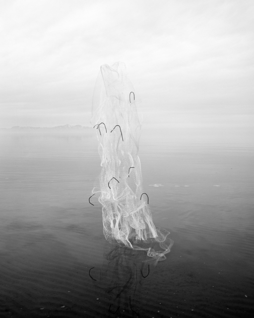 Levi Jackson 10 Artworks, Bio & Shows on Artsy