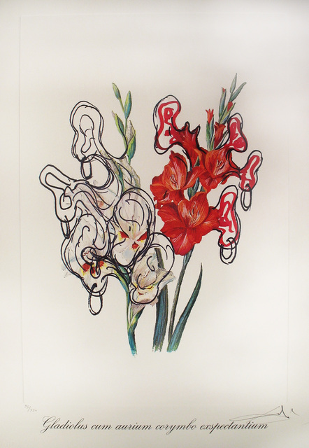 Salvador Dalí, ‘Gladiolus Cum Aurium Corymbo Expentantium (Pirate’s Gladioli)’, 1972, DTR Modern Galleries