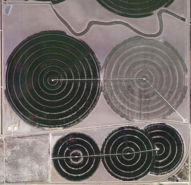 Lili Almog, ‘Water Field #7B ’, 2014, ESKFF