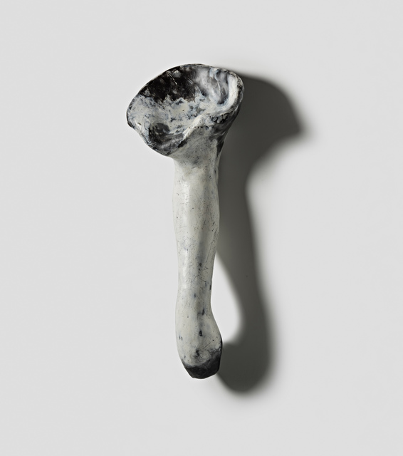 Pamela Blum, ‘Limb #5’, 2017, John Davis Gallery