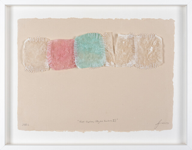 Heat Captures (Beykoz Kundura II) — Gülşah Mursaloğlu (2022)